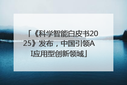 《科学智能白皮书2025》发布，中国引领AI应用型创新领域