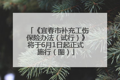 《宜春市补充工伤保险办法（试行）》将于6月1日起正式施行（图）