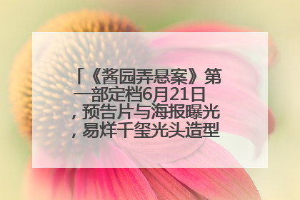《酱园弄悬案》第一部定档6月21日，预告片与海报曝光，易烊千玺光头造型饰演“周瞎子”