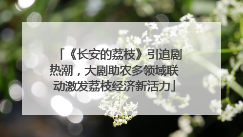 《长安的荔枝》引追剧热潮,大剧助农多领域联动激发荔枝经济新活力