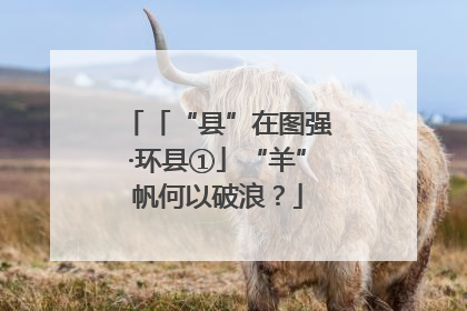 「“县”在图强·环县①」“羊”帆何以破浪？