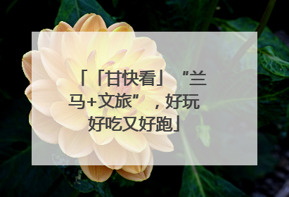 「甘快看」“兰马+文旅”，好玩好吃又好跑