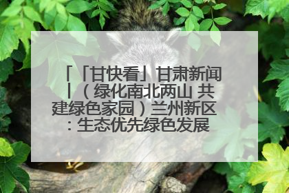 「甘快看」甘肃新闻丨（绿化南北两山 共建绿色家园）兰州新区：生态优先绿色发展 打造生态环保示范区