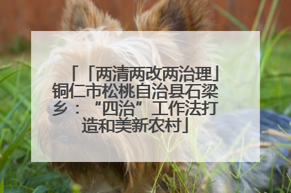 「两清两改两治理」铜仁市松桃自治县石梁乡：“四治”工作法打造和美新农村