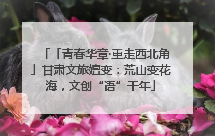 「青春华章·重走西北角」甘肃文旅嬗变：荒山变花海，文创“语”千年