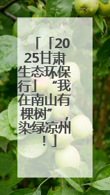 「2025甘肃生态环保行」“我在南山有棵树”，染绿凉州！