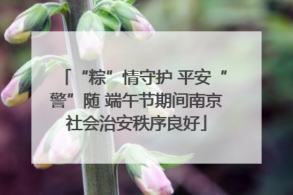 “粽”情守护 平安“警”随 端午节期间南京社会治安秩序良好