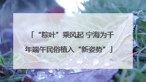 “粽叶”乘风起 宁海为千年端午民俗植入“新姿势”