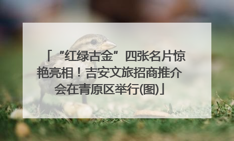 “红绿古金”四张名片惊艳亮相！吉安文旅招商推介会在青原区举行(图)
