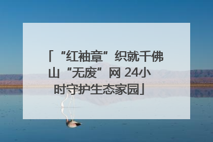 “红袖章”织就千佛山“无废”网 24小时守护生态家园