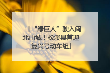 “绿巨人”驶入闽北山城！松溪县首迎复兴号动车组