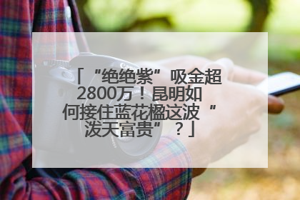 “绝绝紫”吸金超2800万！昆明如何接住蓝花楹这波“泼天富贵”？