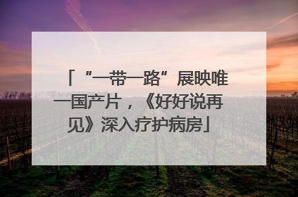 “一带一路”展映唯一国产片，《好好说再见》深入疗护病房