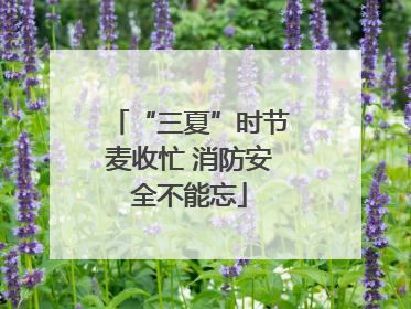 “三夏”时节麦收忙 消防安全不能忘