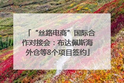 “丝路电商”国际合作对接会：布达佩斯海外仓等8个项目签约