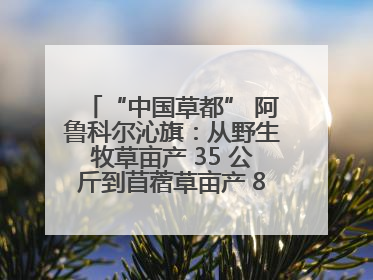 “中国草都” 阿鲁科尔沁旗：从野生牧草亩产 35 公斤到苜蓿草亩产 800 公斤以上