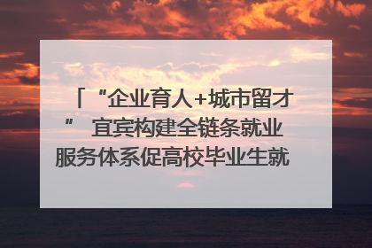 “企业育人+城市留才” 宜宾构建全链条就业服务体系促高校毕业生就业｜您牵挂的四川