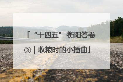 “十四五”·衡阳答卷③｜收粮时的小插曲