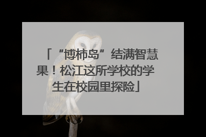 “博柿岛”结满智慧果！松江这所学校的学生在校园里探险