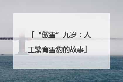 “傲雪”九岁：人工繁育雪豹的故事