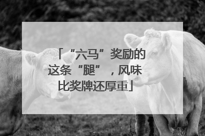 “六马”奖励的这条“腿”，风味比奖牌还厚重