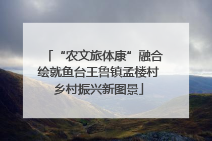 “农文旅体康”融合绘就鱼台王鲁镇孟楼村乡村振兴新图景