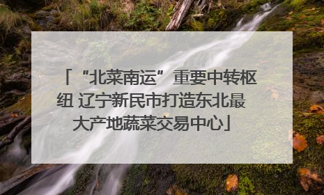 “北菜南运”重要中转枢纽 辽宁新民市打造东北最大产地蔬菜交易中心