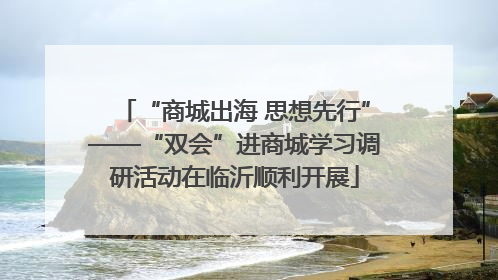 “商城出海 思想先行”——“双会”进商城学习调研活动在临沂顺利开展