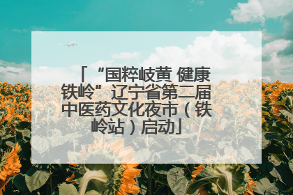 “国粹岐黄 健康铁岭”辽宁省第二届中医药文化夜市（铁岭站）启动