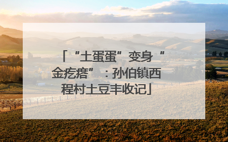 “土蛋蛋”变身“金疙瘩”：孙伯镇西程村土豆丰收记