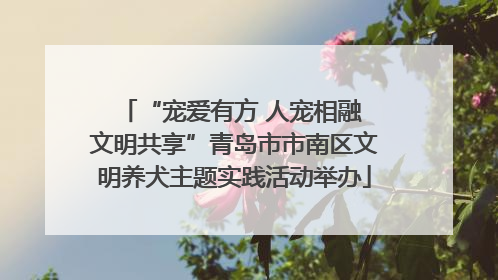 “宠爱有方 人宠相融 文明共享”青岛市市南区文明养犬主题实践活动举办
