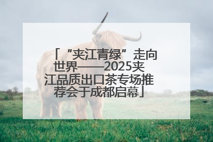 “夹江青绿”走向世界——2025夹江品质出口茶专场推荐会于成都启幕
