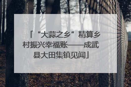 “大蒜之乡”精算乡村振兴幸福账——成武县大田集镇见闻