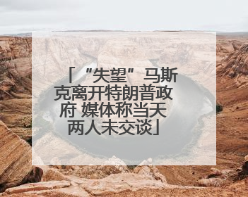 “失望”马斯克离开特朗普政府 媒体称当天两人未交谈