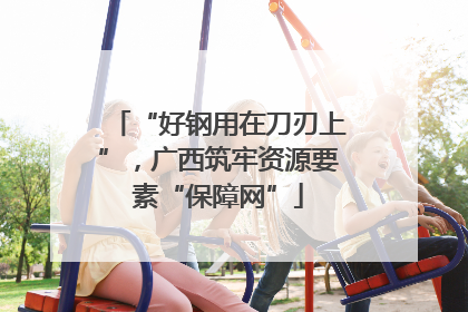 “好钢用在刀刃上”，广西筑牢资源要素“保障网”