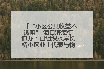 “小区公共收益不透明” 海口滨海街道办：已组织水岸长桥小区业主代表与物业进行座谈