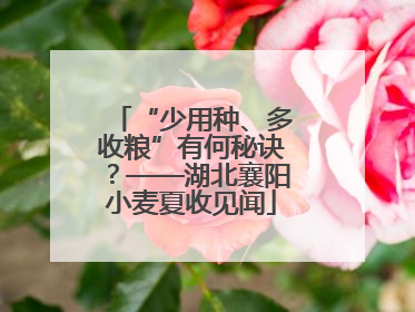 “少用种、多收粮”有何秘诀？——湖北襄阳小麦夏收见闻