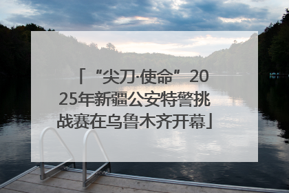 “尖刀·使命”2025年新疆公安特警挑战赛在乌鲁木齐开幕