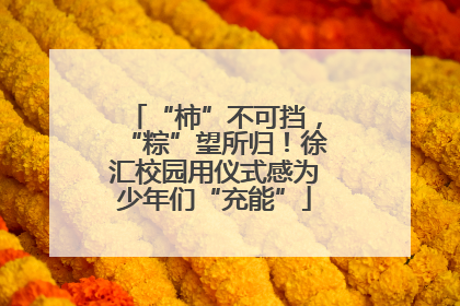 “柿”不可挡，“粽”望所归！徐汇校园用仪式感为少年们“充能”