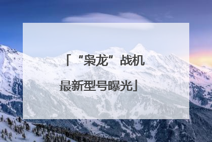 “枭龙”战机最新型号曝光