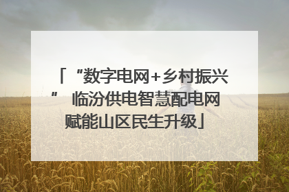 “数字电网+乡村振兴” 临汾供电智慧配电网赋能山区民生升级
