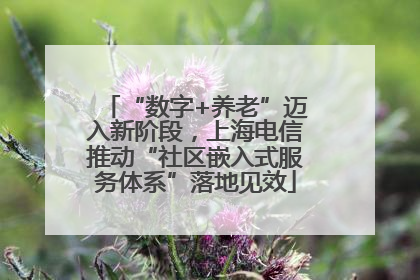 “数字+养老”迈入新阶段，上海电信推动“社区嵌入式服务体系”落地见效