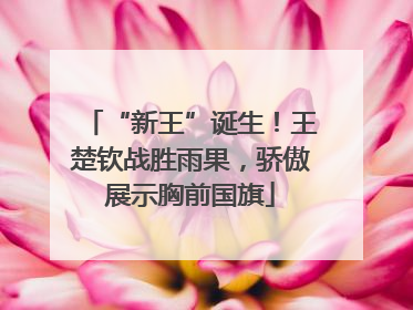 “新王”诞生！王楚钦战胜雨果，骄傲展示胸前国旗