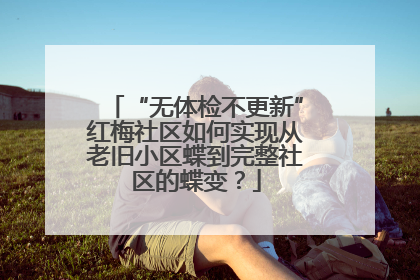 “无体检不更新”红梅社区如何实现从老旧小区蝶到完整社区的蝶变？