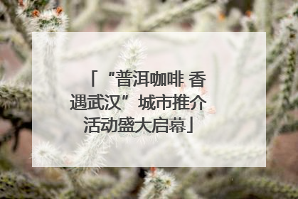 “普洱咖啡 香遇武汉”城市推介活动盛大启幕