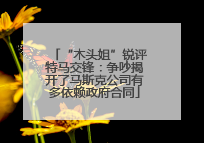 “木头姐”锐评特马交锋：争吵揭开了马斯克公司有多依赖政府合同