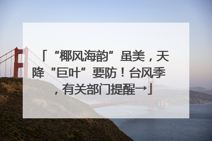 “椰风海韵”虽美，天降“巨叶”要防！台风季，有关部门提醒→