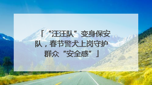 “汪汪队”变身保安队，春节警犬上岗守护群众“安全感”