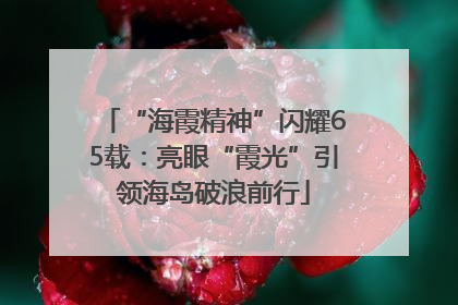 “海霞精神”闪耀65载：亮眼“霞光”引领海岛破浪前行