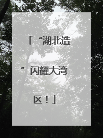 “湖北造”闪耀大湾区！